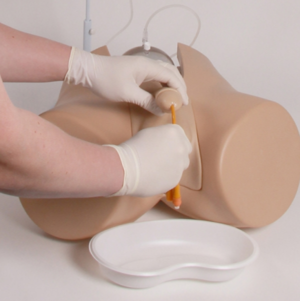 Simulateur de sondage vésical masculin - Henri – Image 2
