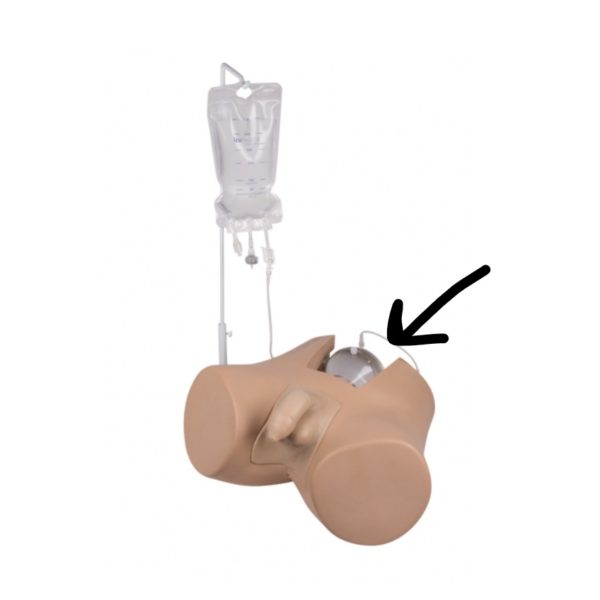 Vessie avec valve pour simulateur de sondage vésical