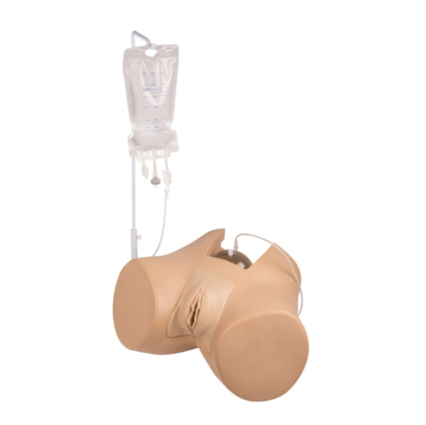 Simulateur de sondage vésical féminin - Florence