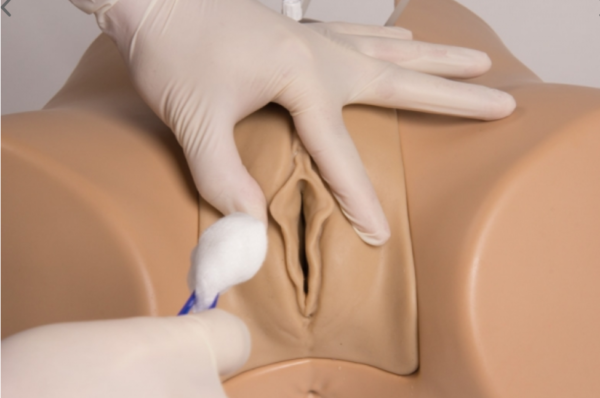 Simulateur de sondage vésical féminin - Florence – Image 2