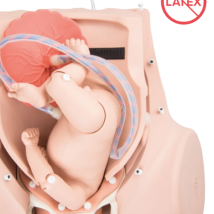 Simulateur d'accouchement - P90 BASIC