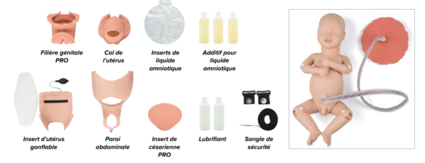 Kit de mise à niveau pour simulateur d'accouchement - BASIC P90