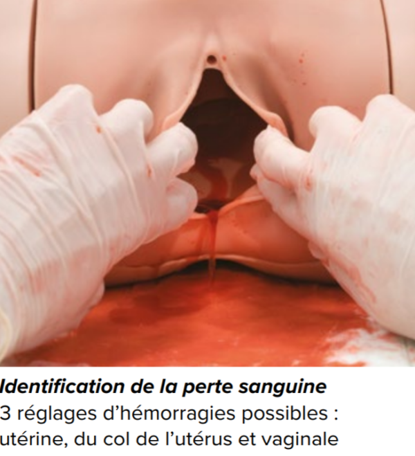 Simulateur d'hémorragie post-partum - P97 – Image 2