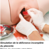 Simulateur d'hémorragie post-partum - P97 – Image 3