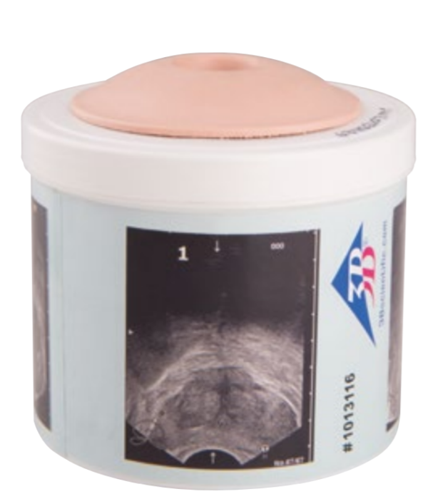 Simulateur d'examen de la prostate