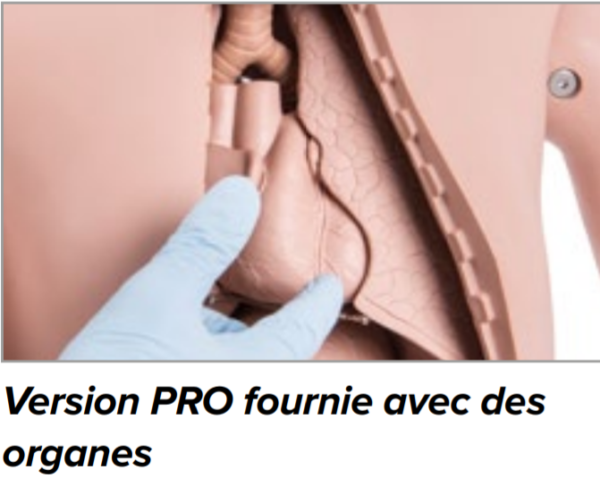 Mannequin pour soins aux patients PRO - P11 – Image 7