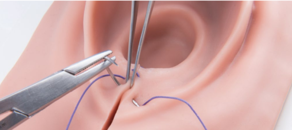 Simulateur d'épisiotomie et de suturation