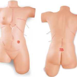 Simulateur de soin des plaies et de pose de bandages