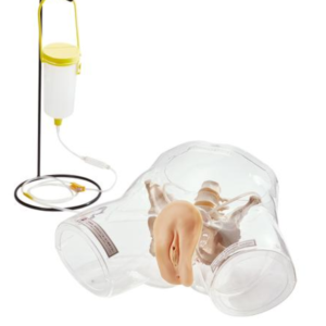 Modèle de cathéter transparent - féminin
