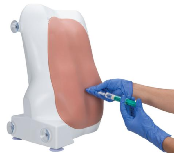 Simulateur pour injection péridurale et spinale - P61
