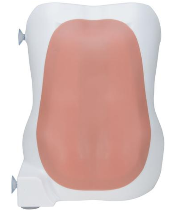 Simulateur pour injection péridurale et spinale - P61 – Image 2