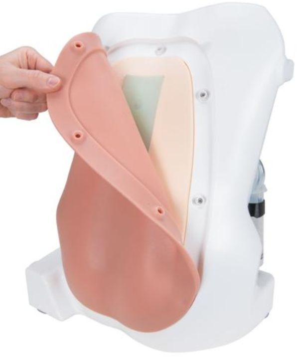 Simulateur pour injection péridurale et spinale - P61 – Image 4