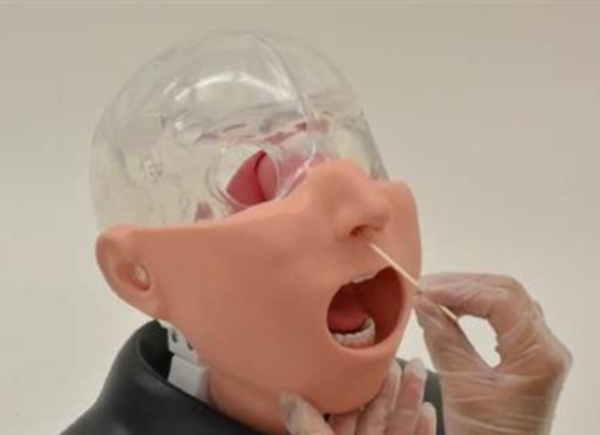 Simulateur de prélèvements nasopharyngés